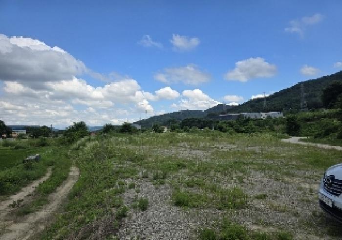 충청북도 음성군 음성읍 한벌리 650 답 경매 사진 11