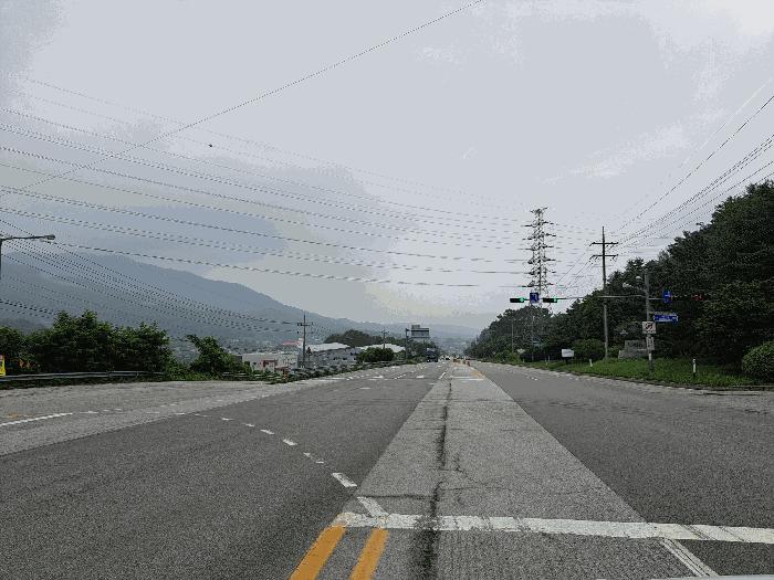 충청북도 음성군 음성읍 한벌리 650 답 경매 사진 2