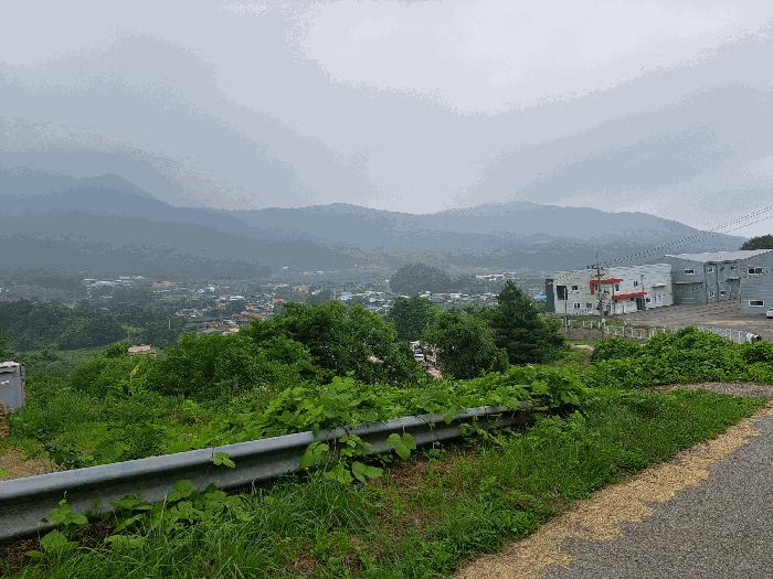 충청북도 음성군 음성읍 한벌리 650 답 경매 사진 3