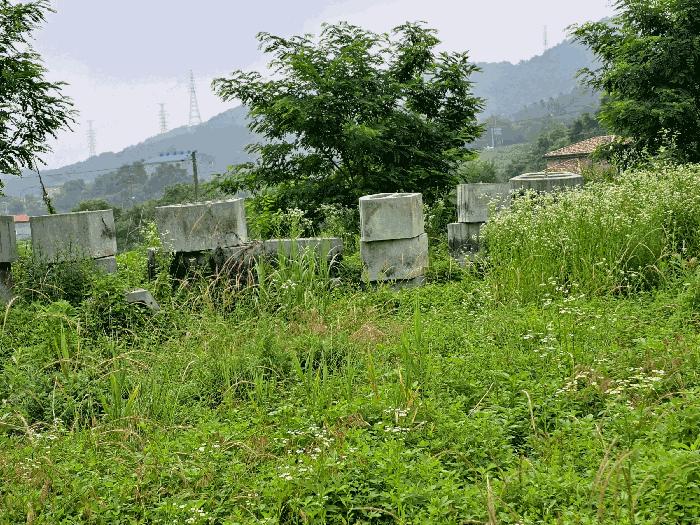 충청북도 음성군 음성읍 한벌리 650 답 경매 사진 4
