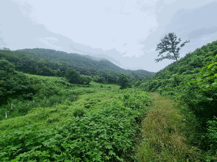 충청북도 충주시 답