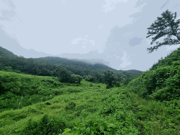 충청북도 충주시 앙성면 목미리 201 답 경매 사진 3