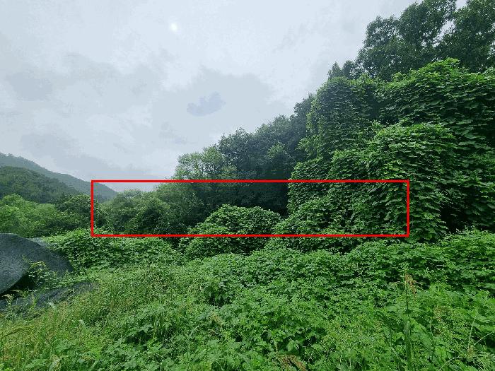 충청북도 충주시 앙성면 목미리 201 답 경매 사진 6