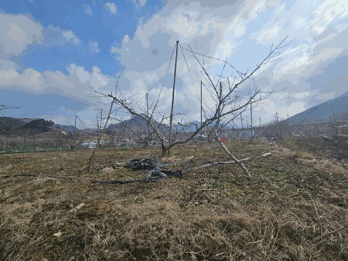 충청북도 충주시 수안보면 안보리 391-11 주택 경매 사진 3