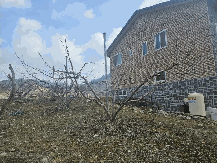 충청북도 충주시 수안보면 안보리 310 답 경매 사진 10