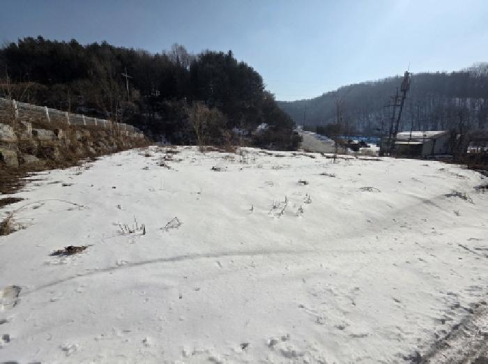 충청북도 제천시 봉양읍 연박리 365 답 경매 사진 7