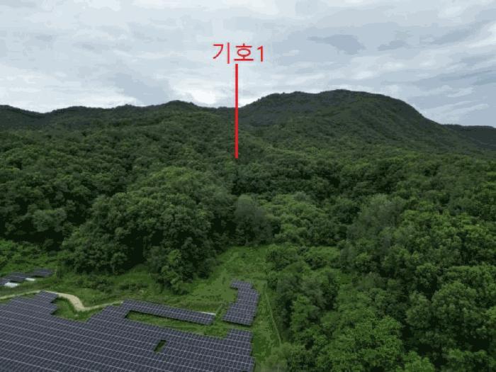 충청북도 음성군 원남면 문암리 산1 임야 경매 사진 11