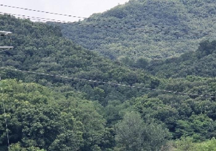 충청북도 음성군 원남면 문암리 산1 임야 경매 사진 12