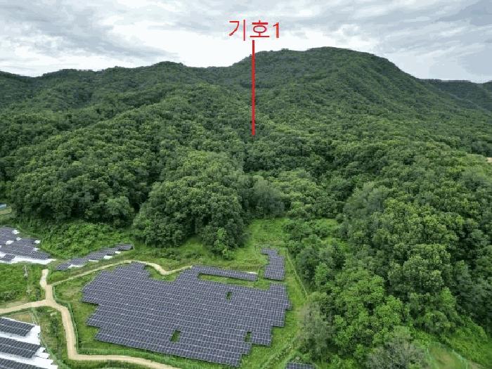 충청북도 음성군 원남면 문암리 산1 임야 경매 사진 14