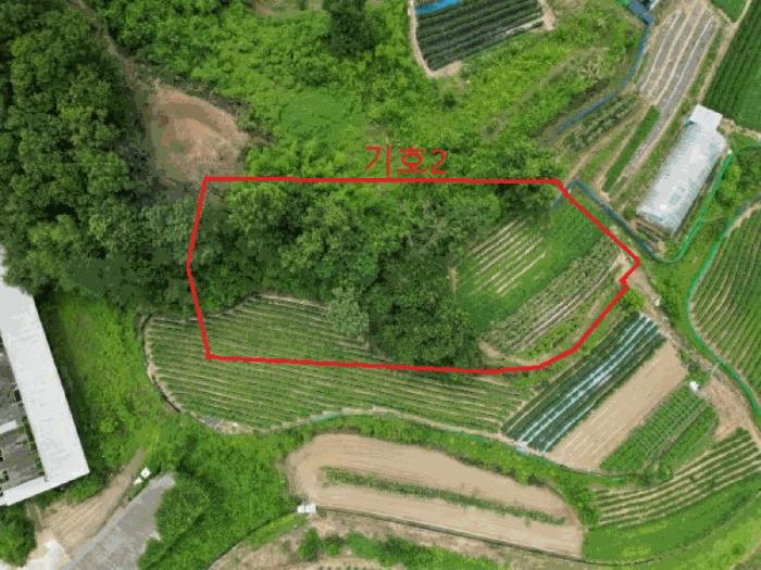 충청북도 음성군 원남면 문암리 산1 임야 경매 사진 2