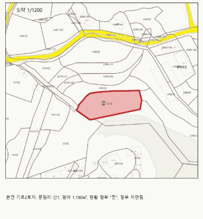 충청북도 음성군 원남면 문암리 산1 임야 경매 사진 20