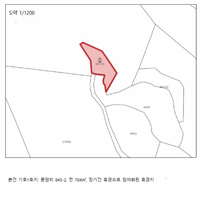 충청북도 음성군 원남면 문암리 산1 임야 경매 사진 21