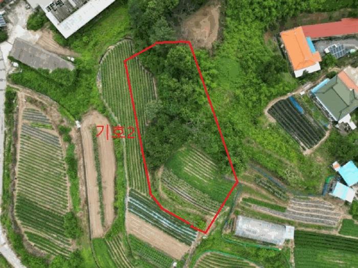 충청북도 음성군 원남면 문암리 산1 임야 경매 사진 4