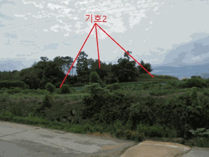 충청북도 음성군 원남면 문암리 산1 임야 경매 사진 5