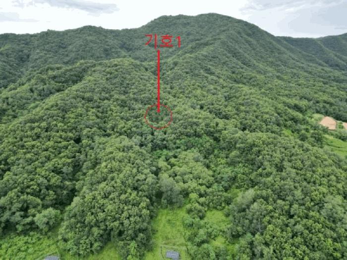 충청북도 음성군 원남면 문암리 산1 임야 경매 사진 6