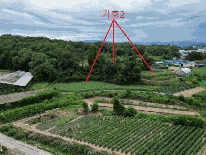 충청북도 음성군 원남면 문암리 산1 임야 경매 사진 7