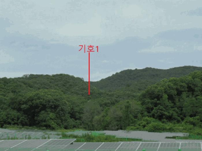 충청북도 음성군 원남면 문암리 산1 임야 경매 사진 9