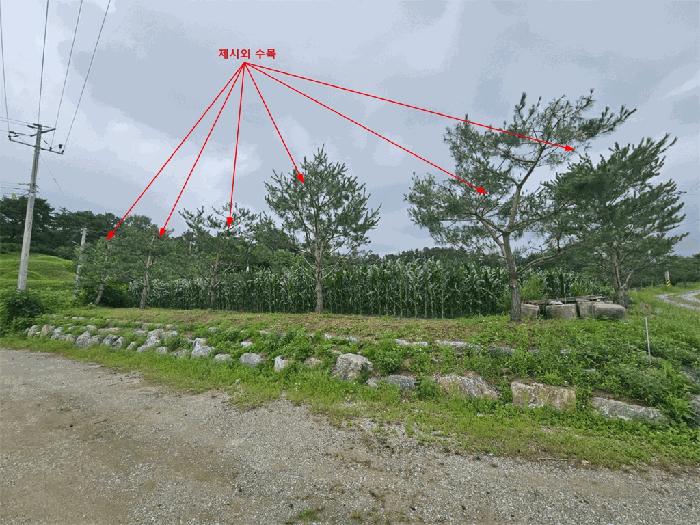 충청북도 제천시 답