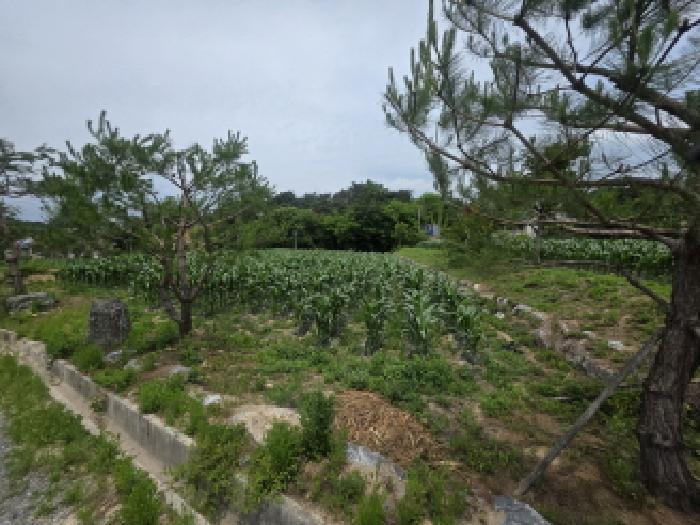 충청북도 제천시 고명동 464 답 경매 사진 18