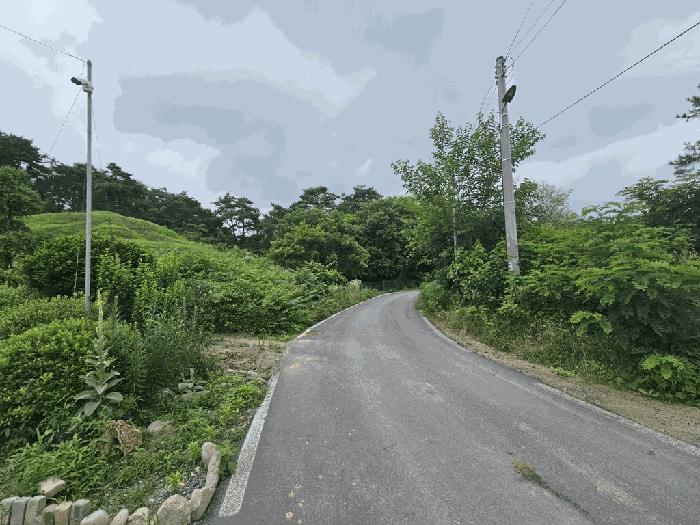 충청북도 제천시 고명동 464 답 경매 사진 6