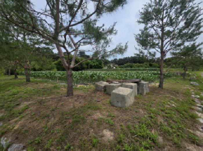 충청북도 제천시 고명동 464 답 경매 사진 7