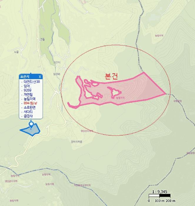 충청북도 제천시 수산면 대전리 산25 임야 경매 사진 11