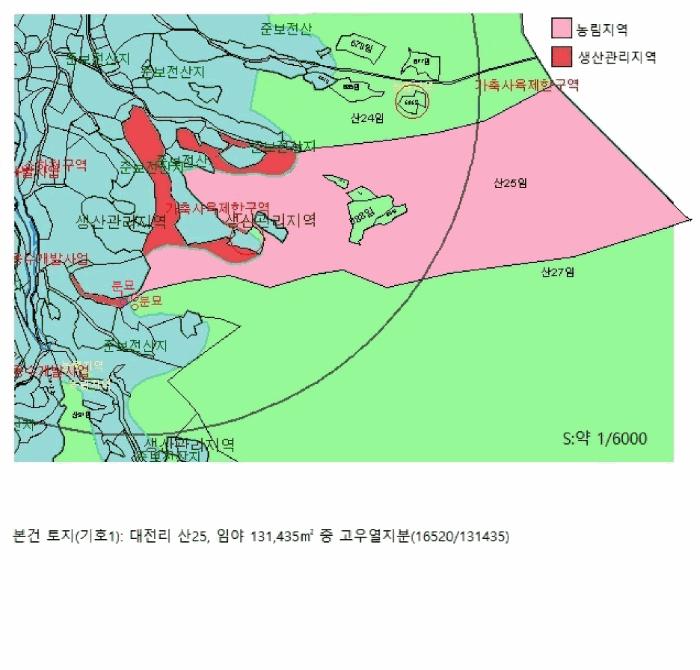 충청북도 제천시 수산면 대전리 산25 임야 경매 사진 13