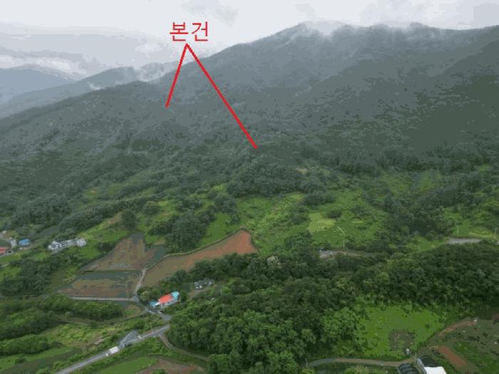 충청북도 제천시 수산면 대전리 산25 임야 경매 사진 2