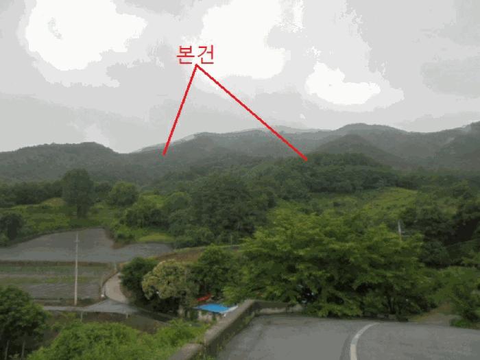 충청북도 제천시 수산면 대전리 산25 임야 경매 사진 5
