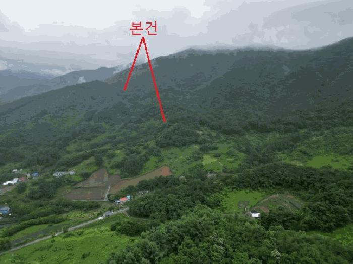 충청북도 제천시 수산면 대전리 산25 임야 경매 사진 9