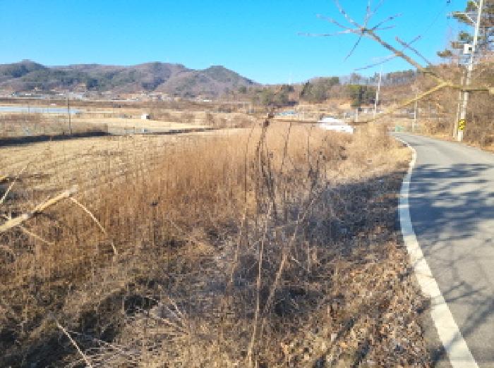 세종특별자치시 금남면 달전리 18 답 경매 사진 10