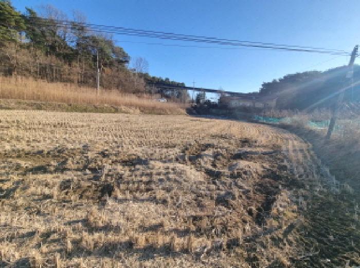 세종특별자치시 금남면 달전리 18 답 경매 사진 14