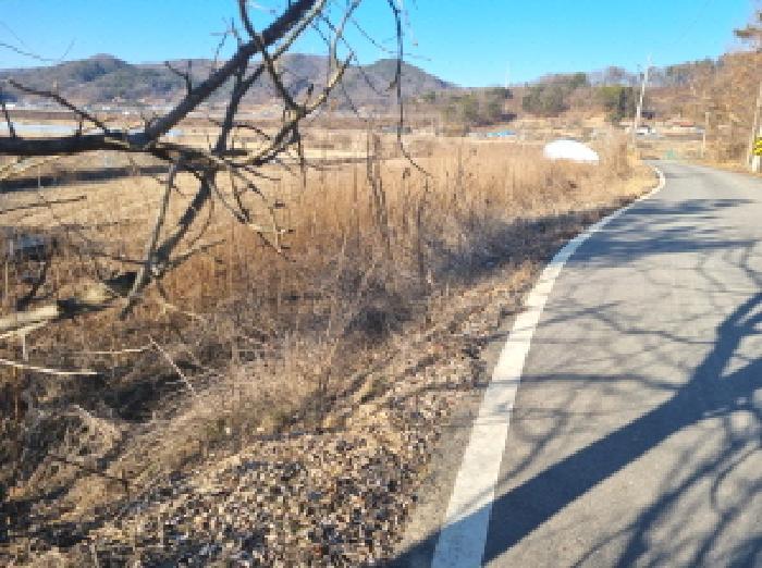 세종특별자치시 금남면 달전리 18 답 경매 사진 9