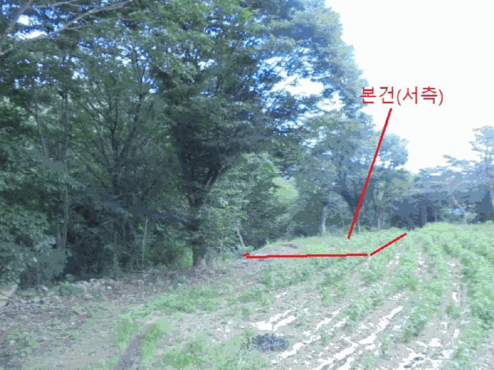 충청북도 제천시 백운면 덕동리 275-8 임야 경매 사진 1