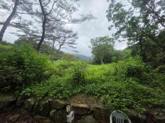 충청북도 제천시 백운면 덕동리 275-8 임야 경매 사진 12