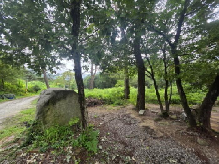 충청북도 제천시 백운면 덕동리 275-8 임야 경매 사진 18