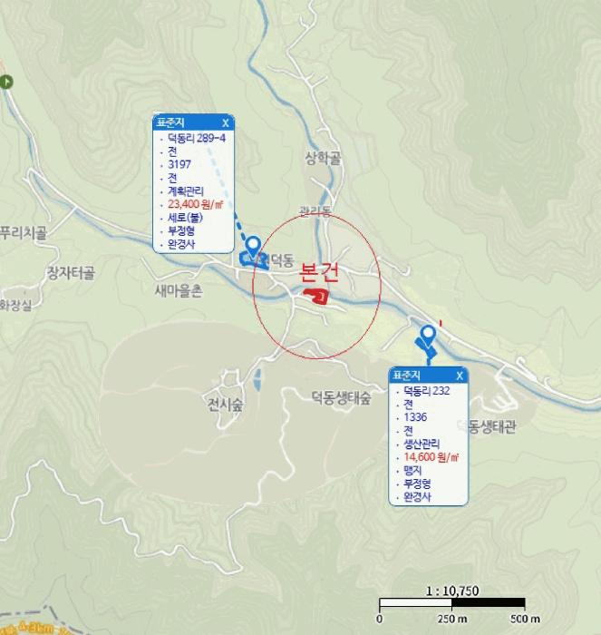충청북도 제천시 백운면 덕동리 275-8 임야 경매 사진 20