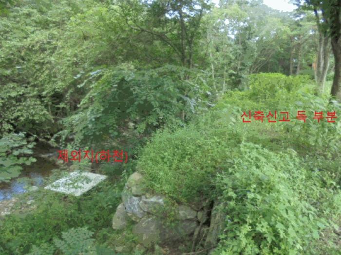 충청북도 제천시 백운면 덕동리 275-8 임야 경매 사진 6