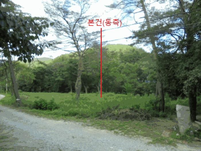 충청북도 제천시 백운면 덕동리 275-8 임야 경매 사진 9