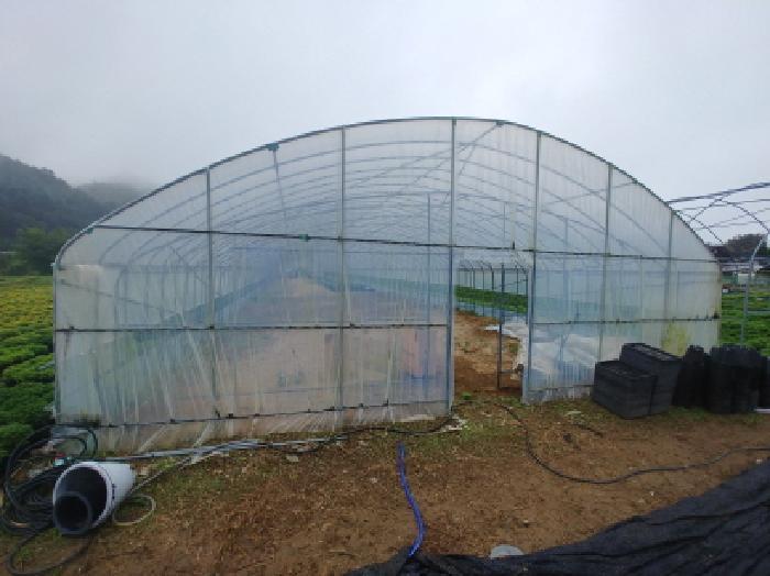 충청남도 금산군 진산면 교촌리 173 답 경매 사진 11