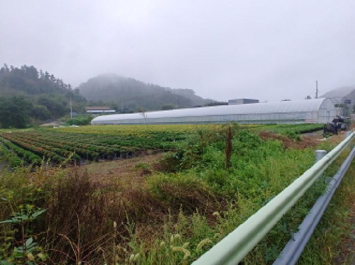 충청남도 금산군 진산면 교촌리 173 답 경매 사진 3