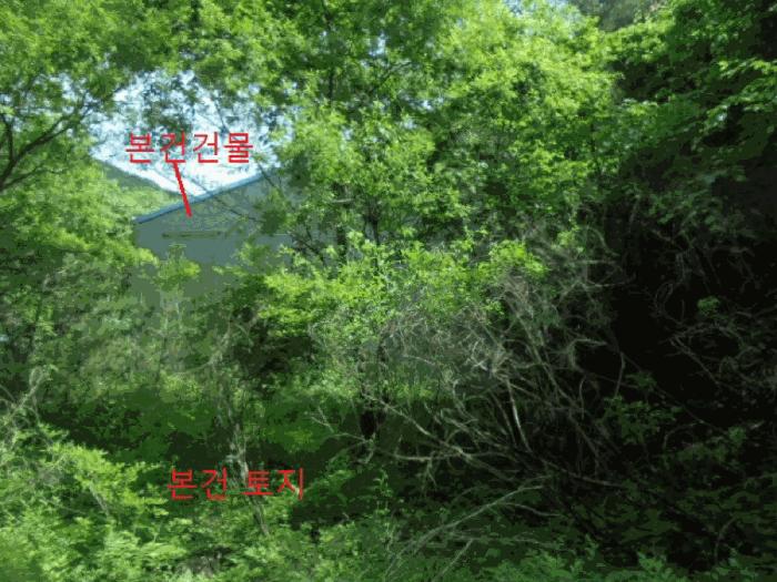 충청북도 제천시 금성면 대장리 238-2 공장 경매 사진 10