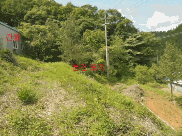 충청북도 제천시 금성면 대장리 238-2 공장 경매 사진 11