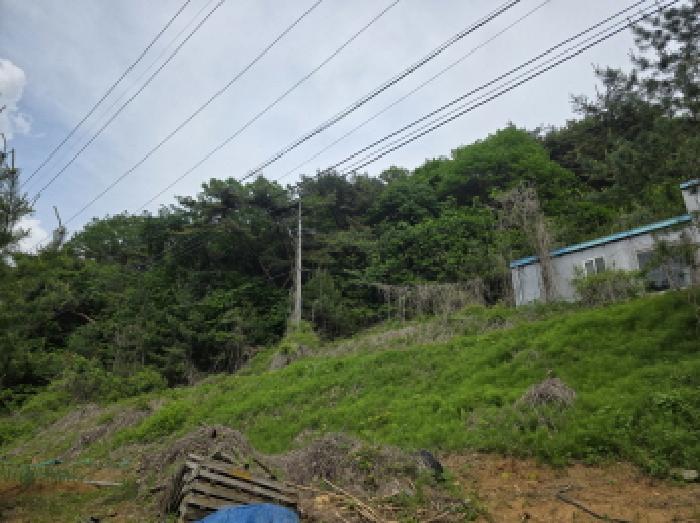 충청북도 제천시 금성면 대장리 238-2 공장 경매 사진 13