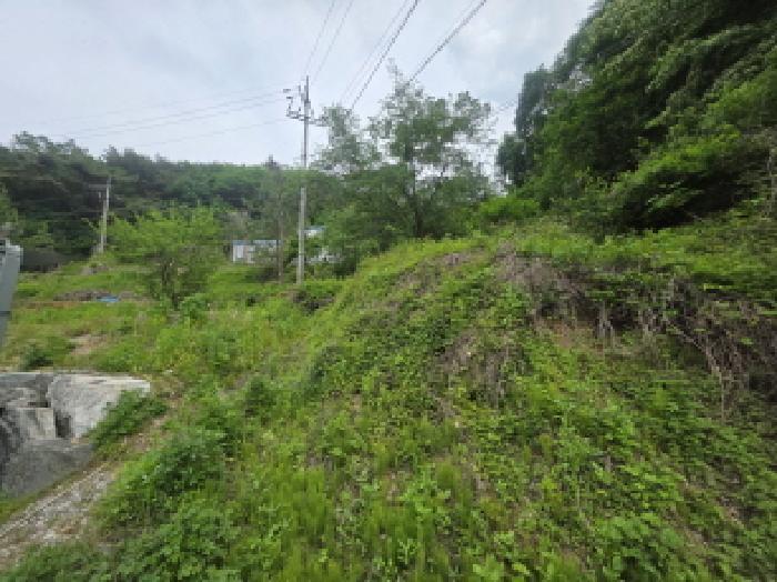 충청북도 제천시 금성면 대장리 238-2 공장 경매 사진 14