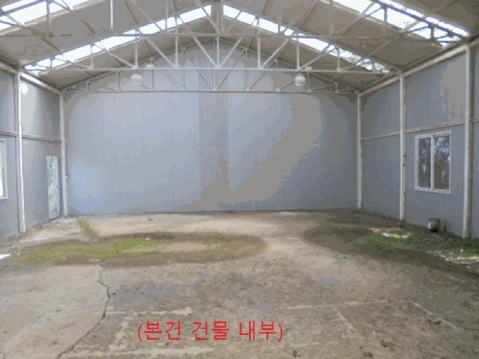 충청북도 제천시 금성면 대장리 238-2 공장 경매 사진 2