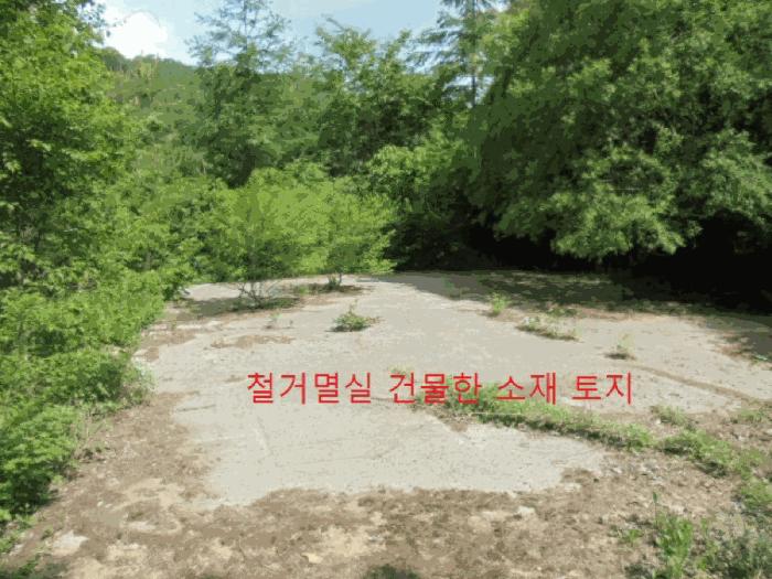 충청북도 제천시 금성면 대장리 238-2 공장 경매 사진 4