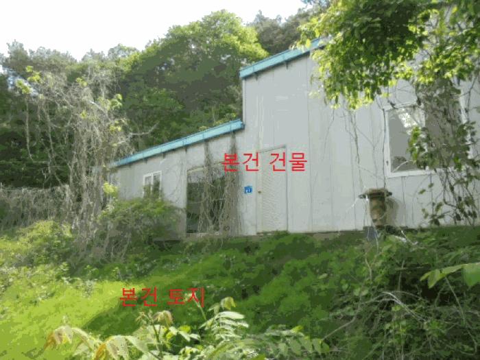 충청북도 제천시 금성면 대장리 238-2 공장 경매 사진 7