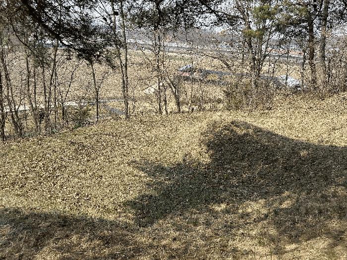 세종 부강면 임야