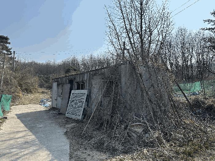 세종특별자치시 부강면 산수리 216-4 임야 경매 사진 12